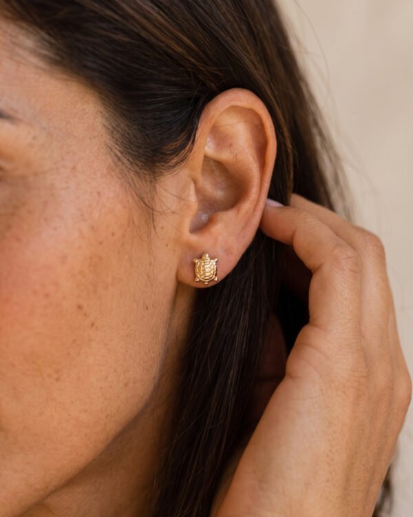 Cari boucles d oreilles tortue