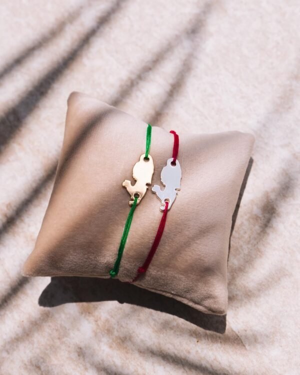 Bracelet_territoire_fil_fin