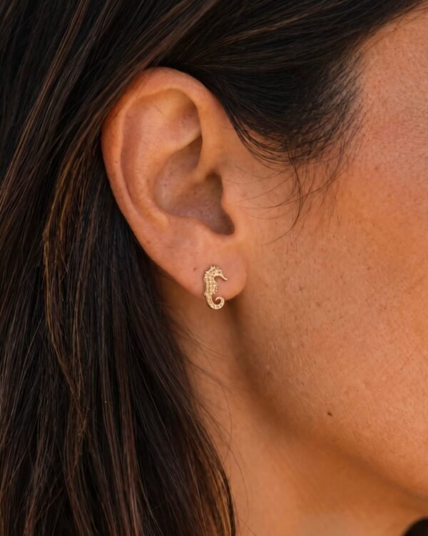 Hippea mini boucles d oreilles hippocampe