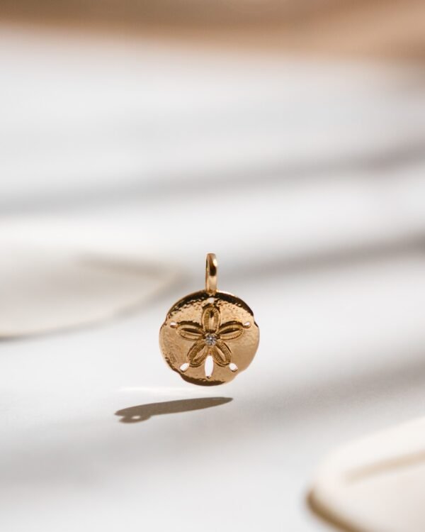 pendentif dollar des sables Sand Dollar Caraïbes